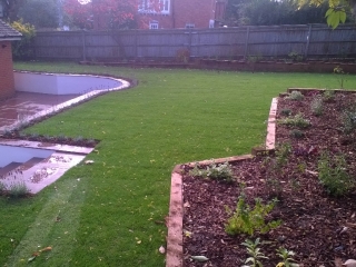 modern garden with fresh lawn