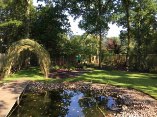 Woodland garden in Wooburn Green