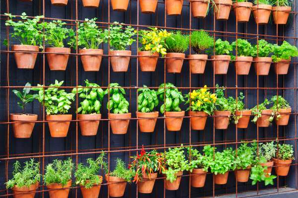 flower pots hung on wire mesh