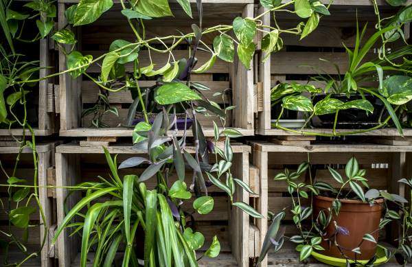 vertical garden made with crates