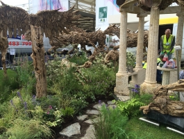 right view of Chelsea flower show