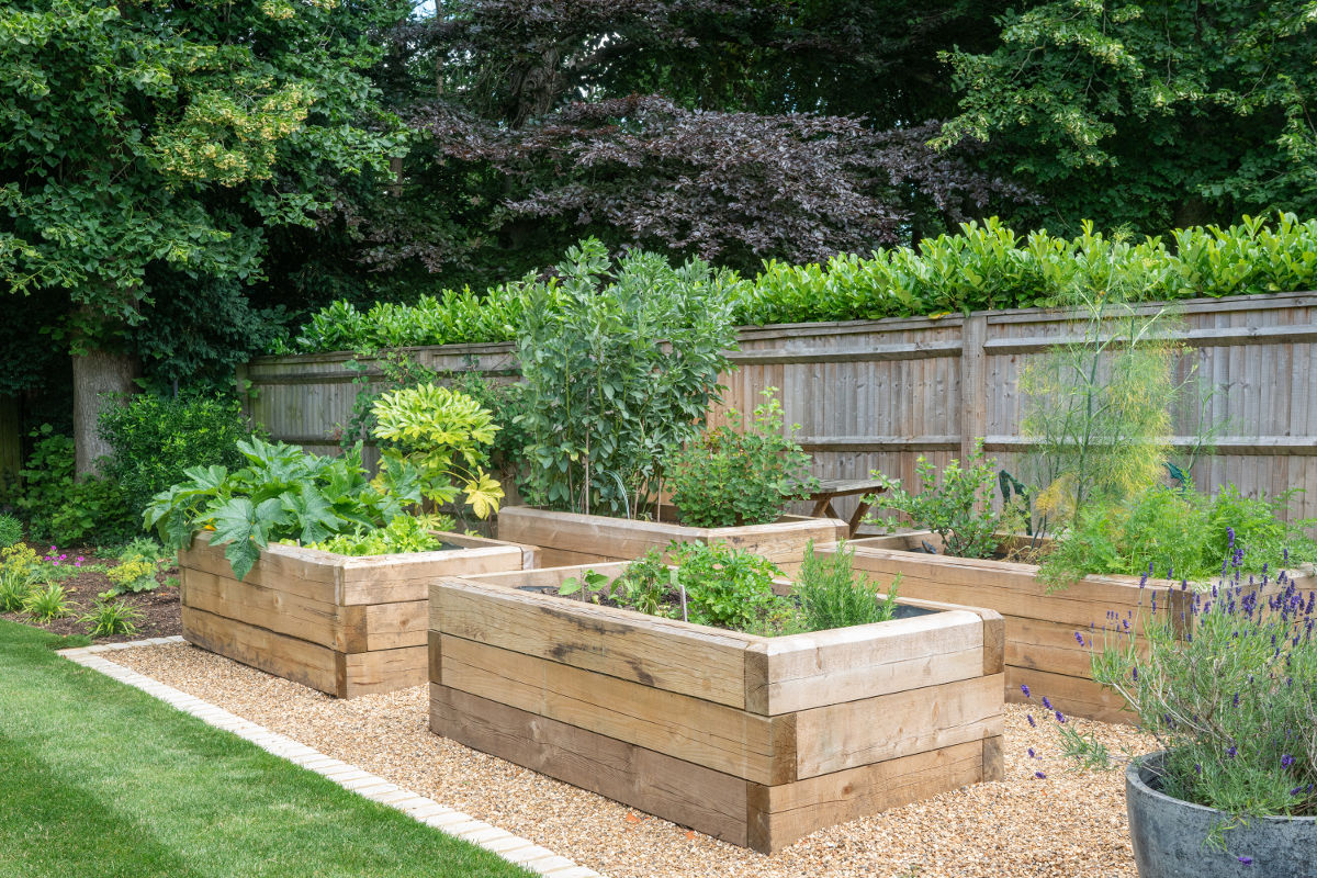 raised vegetable beds made from sleepers