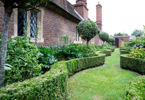 Well maintained garden with clipped hedges