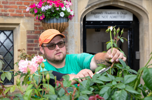 Gardener pruning roses