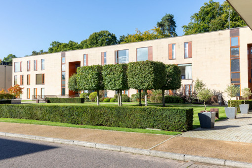 View of cubed shaped topiary trees at front of property