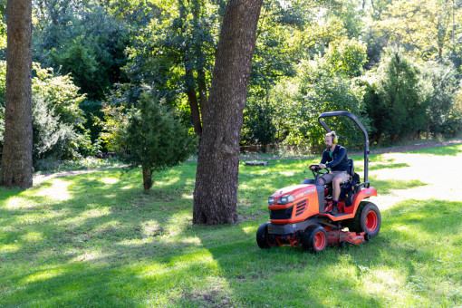 Gardener mowing lawn under trees on sit on mower
