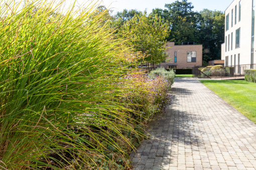 Maintained grounds with clear path and well tended flower borders