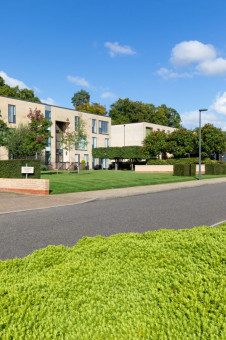 Kerb appeal of well maintained grounds