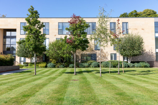 Well maintained lawn and trees in large grounds