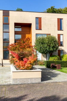 Colourful raised beds in grounds