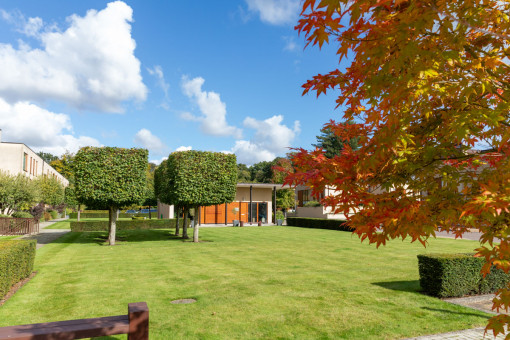 Maintained commercial grounds with maple and topiary trees