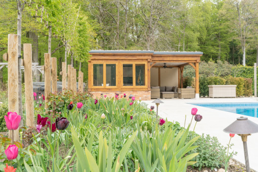 Pink and dark purple tulips in flower bed next to pool