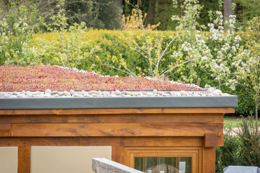 Sedum room on pool house