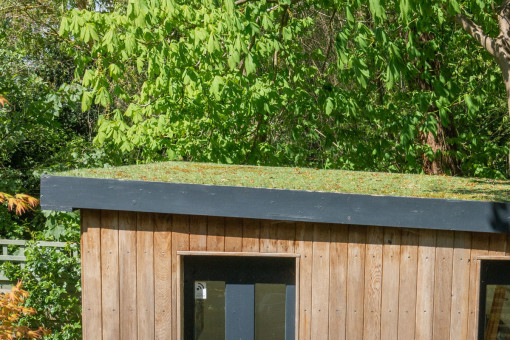 Green roof on garden room