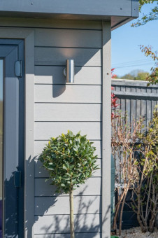 Lollipop bay tree under light on garden office