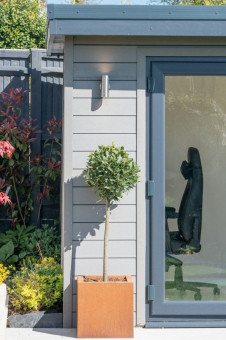 Outside of garden gym with bay tree