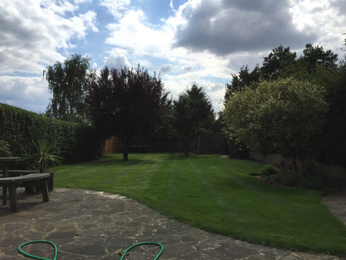large garden with maintained lawn