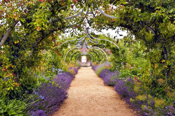 Colourful English summer flower garden with a path under archway
