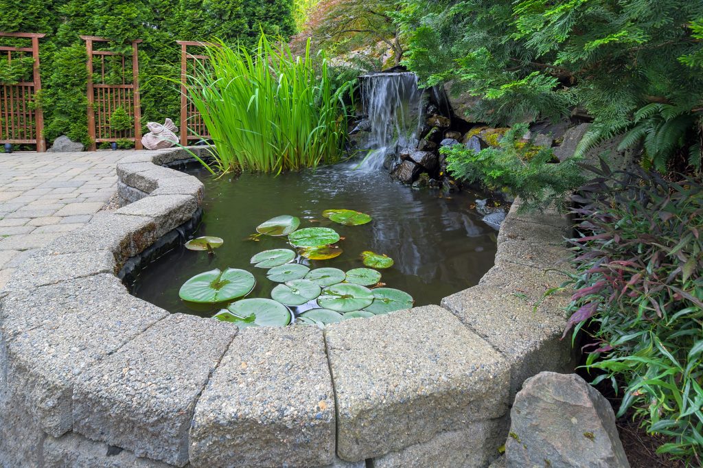 small water feature pond