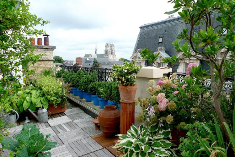 Rooftop garden