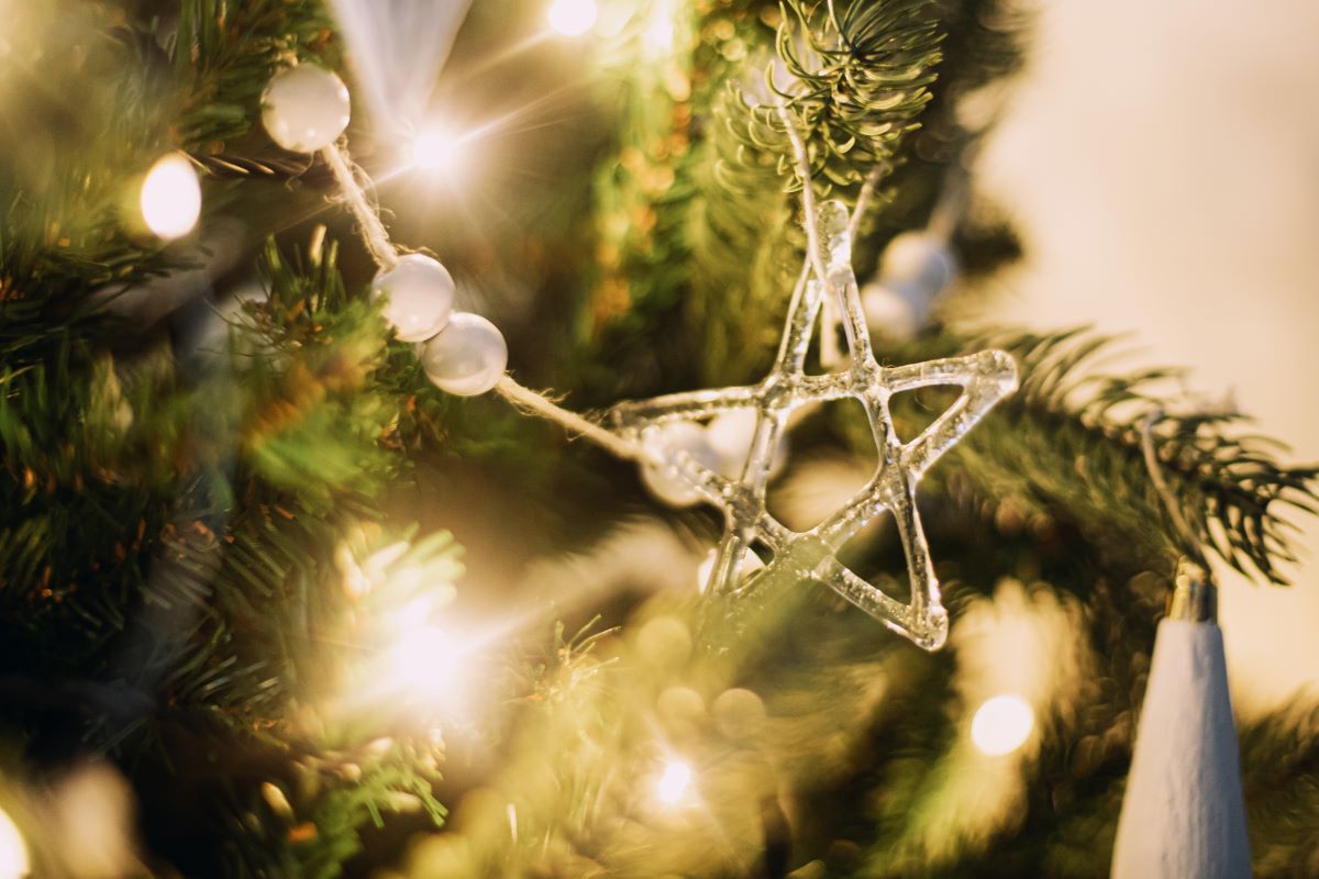 How To Care For Your Christmas Tree - Thames Valley Landscapes