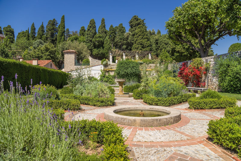 Mediterranean garden in South of France
