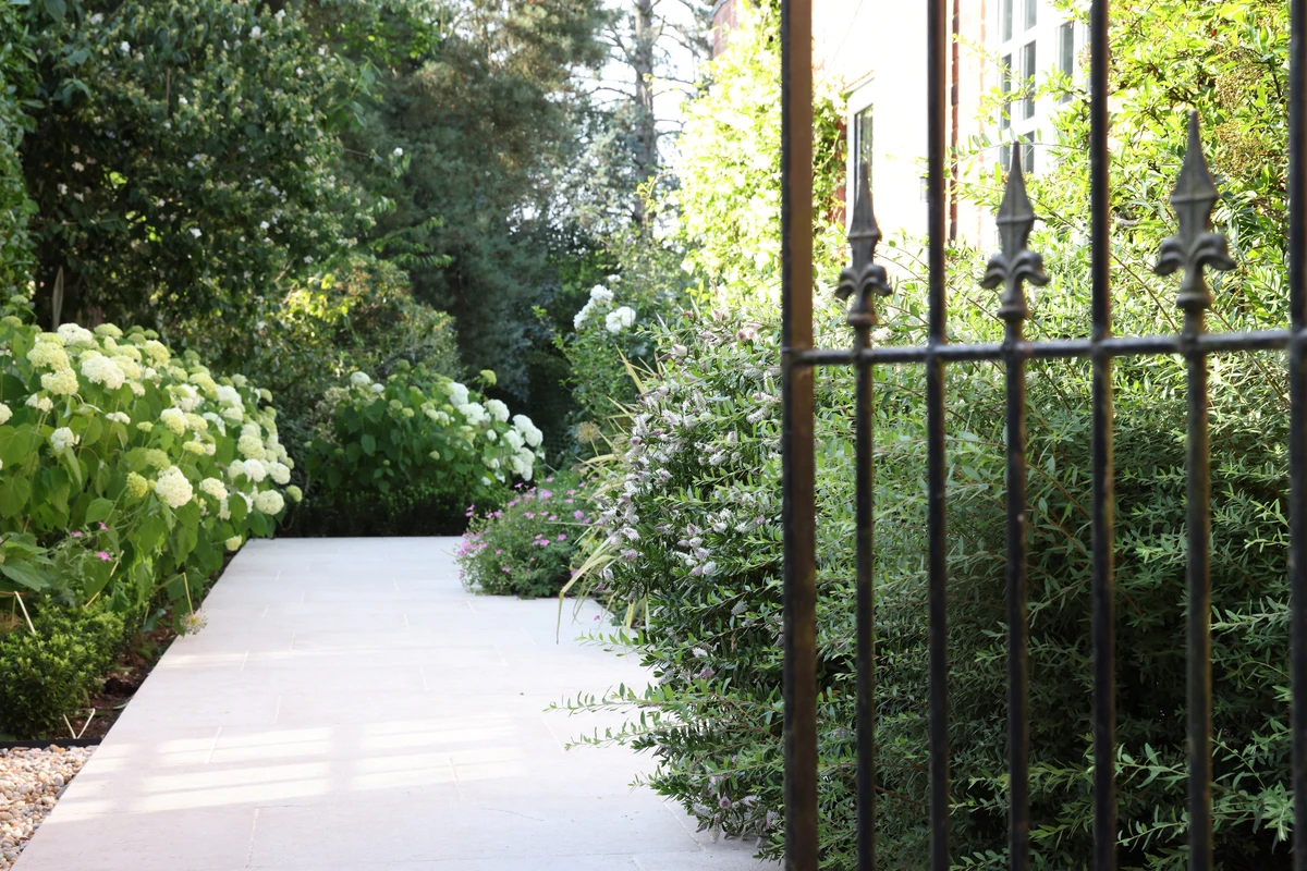 Cool palette of planting to soften edges of Egyptian limestone paving